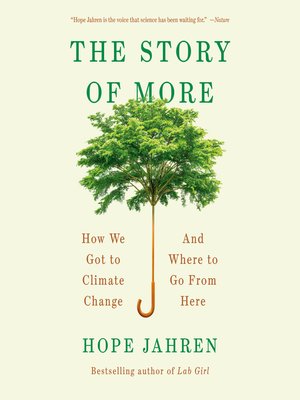 cover image of The Story of More